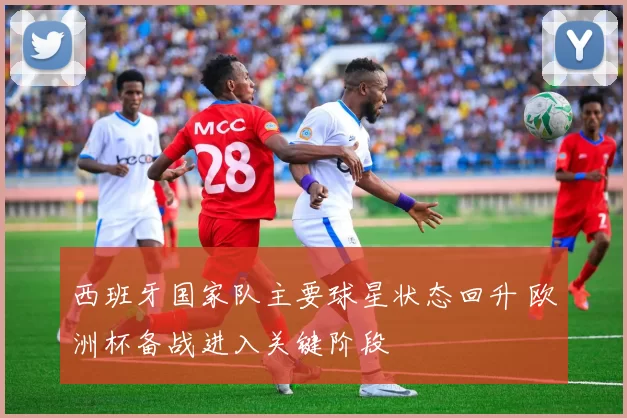 西班牙国家队主要球星状态回升 欧洲杯备战进入关键阶段