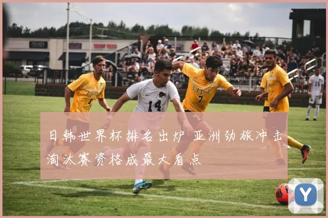 日韩世界杯排名出炉 亚洲劲旅冲击淘汰赛资格成最大看点