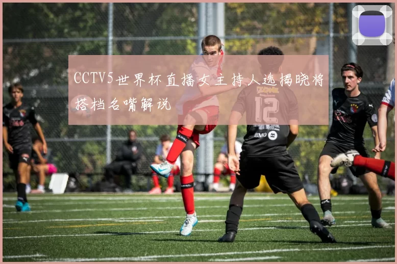 CCTV5世界杯直播女主持人选揭晓将搭档名嘴解说