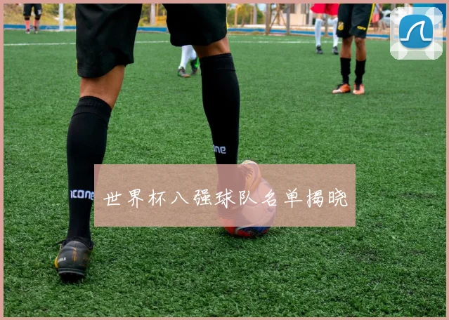 世界杯八强球队名单揭晓